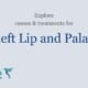 Cleft Lip and Palate